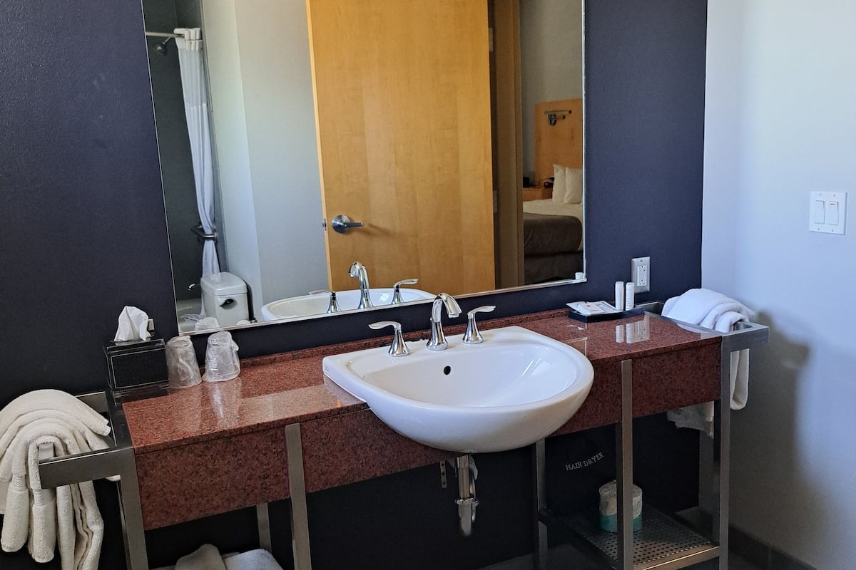 combined shower/bathtub, designer toiletries, hair dryer, towels