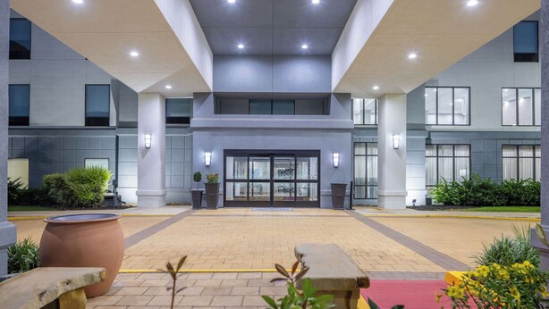 Una entrada de hotel moderna con puerta de vidrio, plantas en macetas y un patio empedrado.