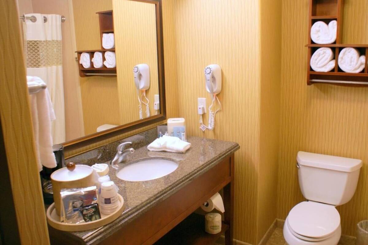 Bathroom | Combined shower/tub, free toiletries, hair dryer, towels