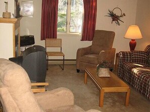TV, fireplace - Mount Snow Condominiums (West Dover)