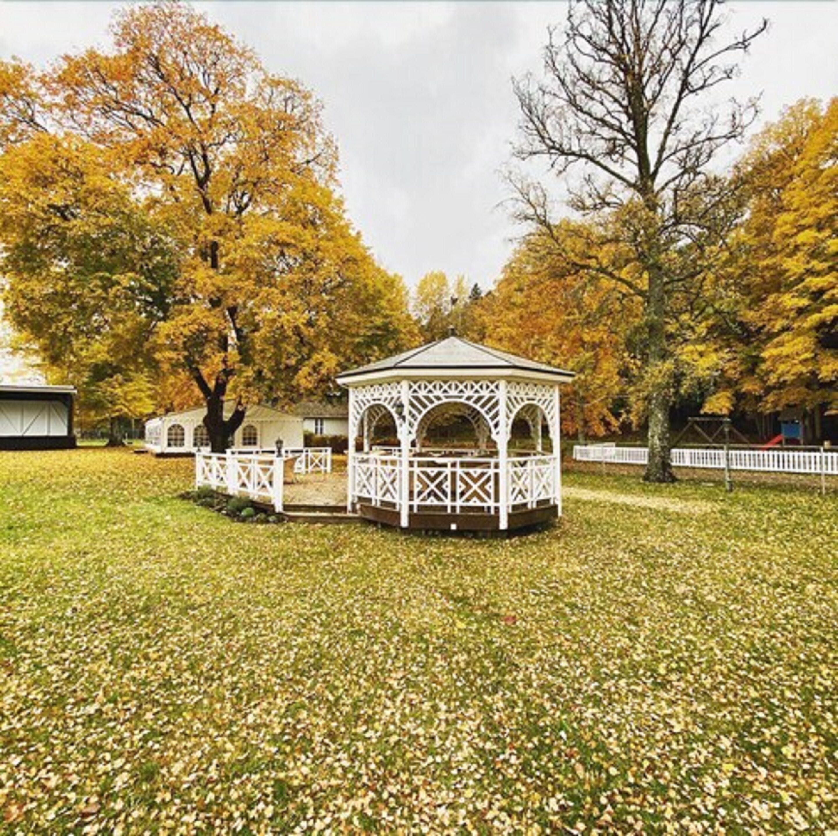 Een tuinpaviljoen met een wit rasterwerk, omringd door een witte schutting, gelegen in een grasrijk gebied met bomen in herfstkleuren.