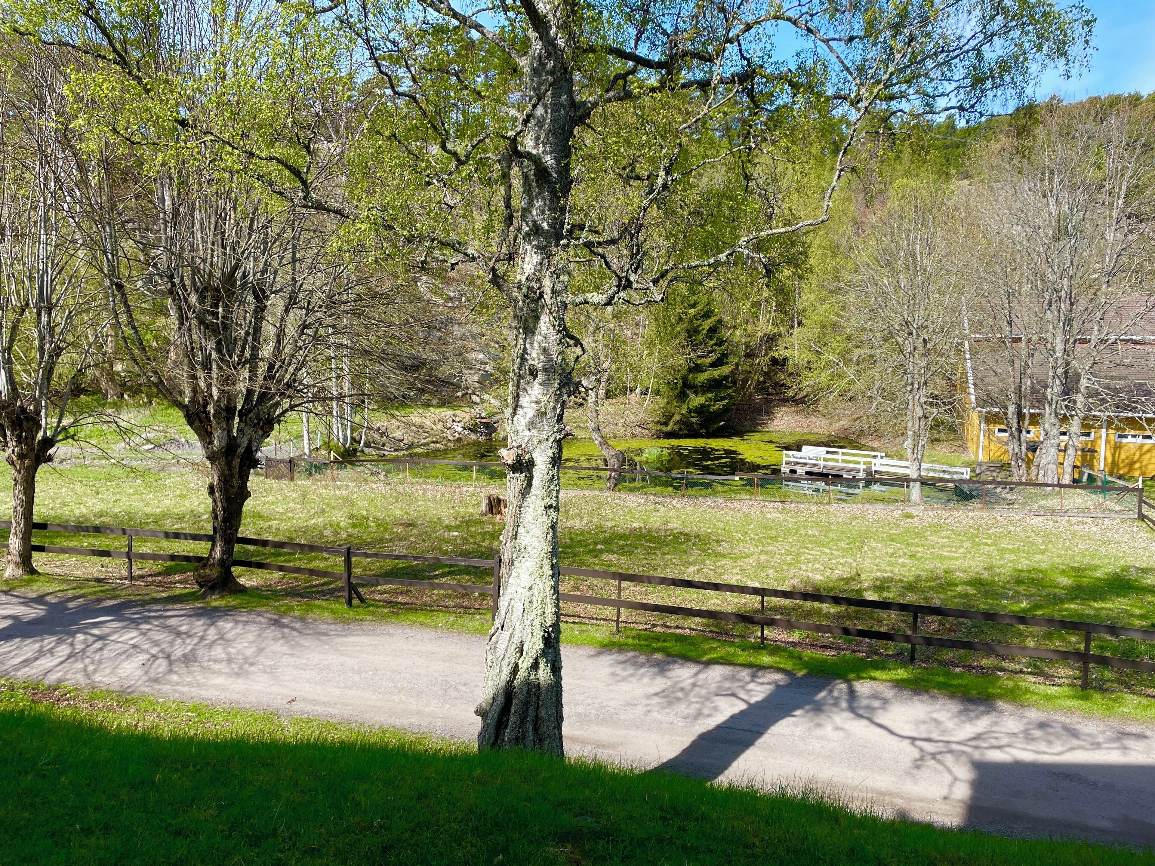 A park with a paved path, trees, and a yellow building in the background.