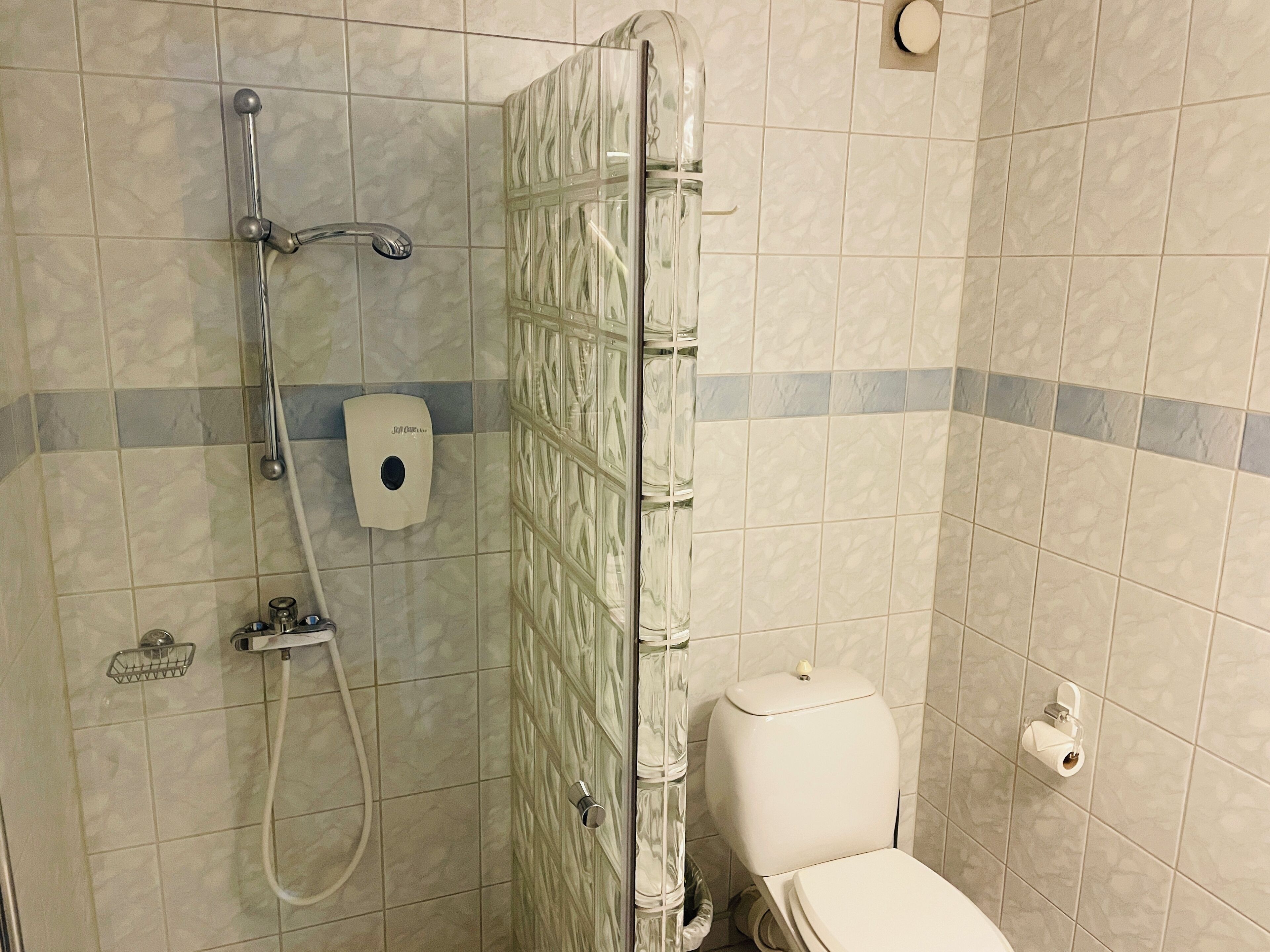 A bathroom with a glass shower enclosure, a toilet, and a hand soap dispenser.