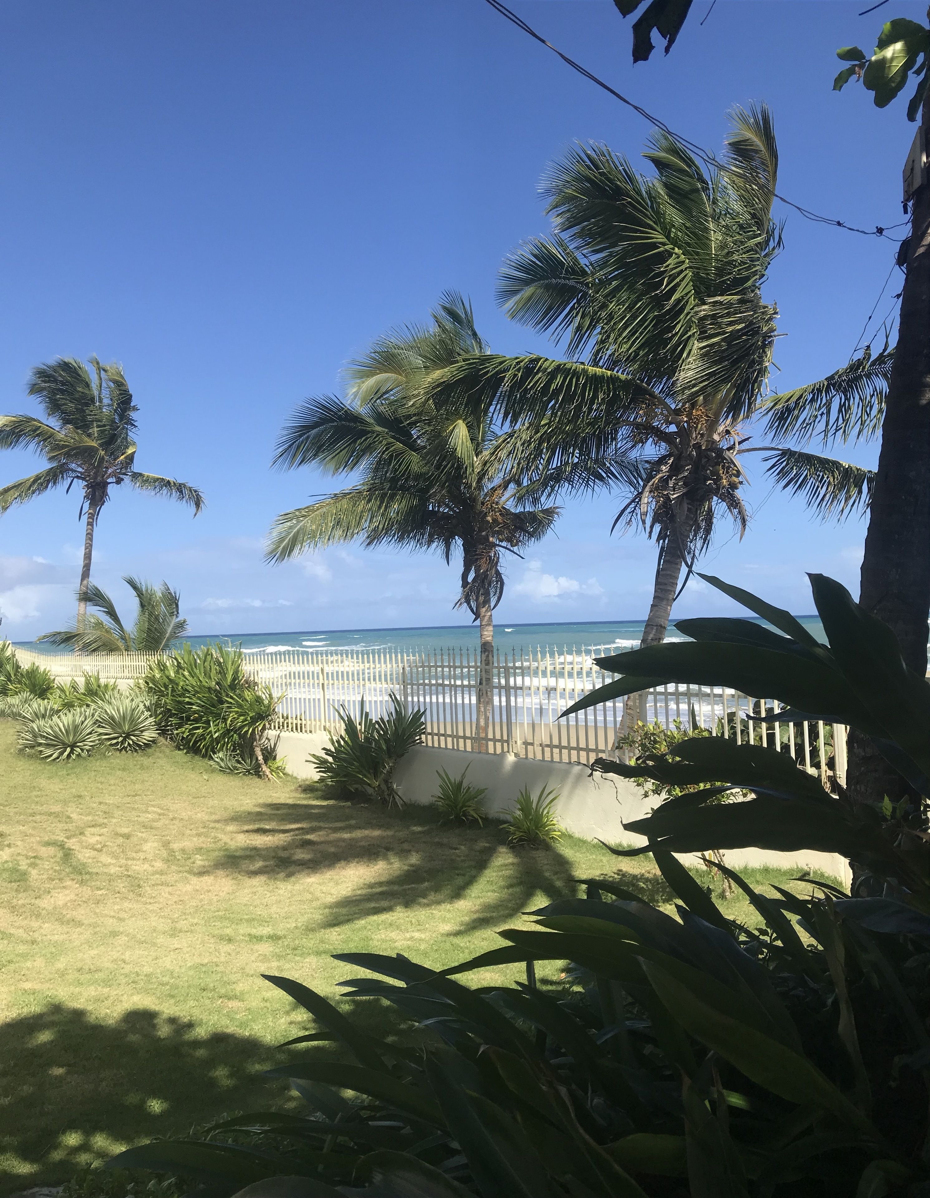 superior studio, 1 queen bed, ocean view, beachfront | beach | on the beach