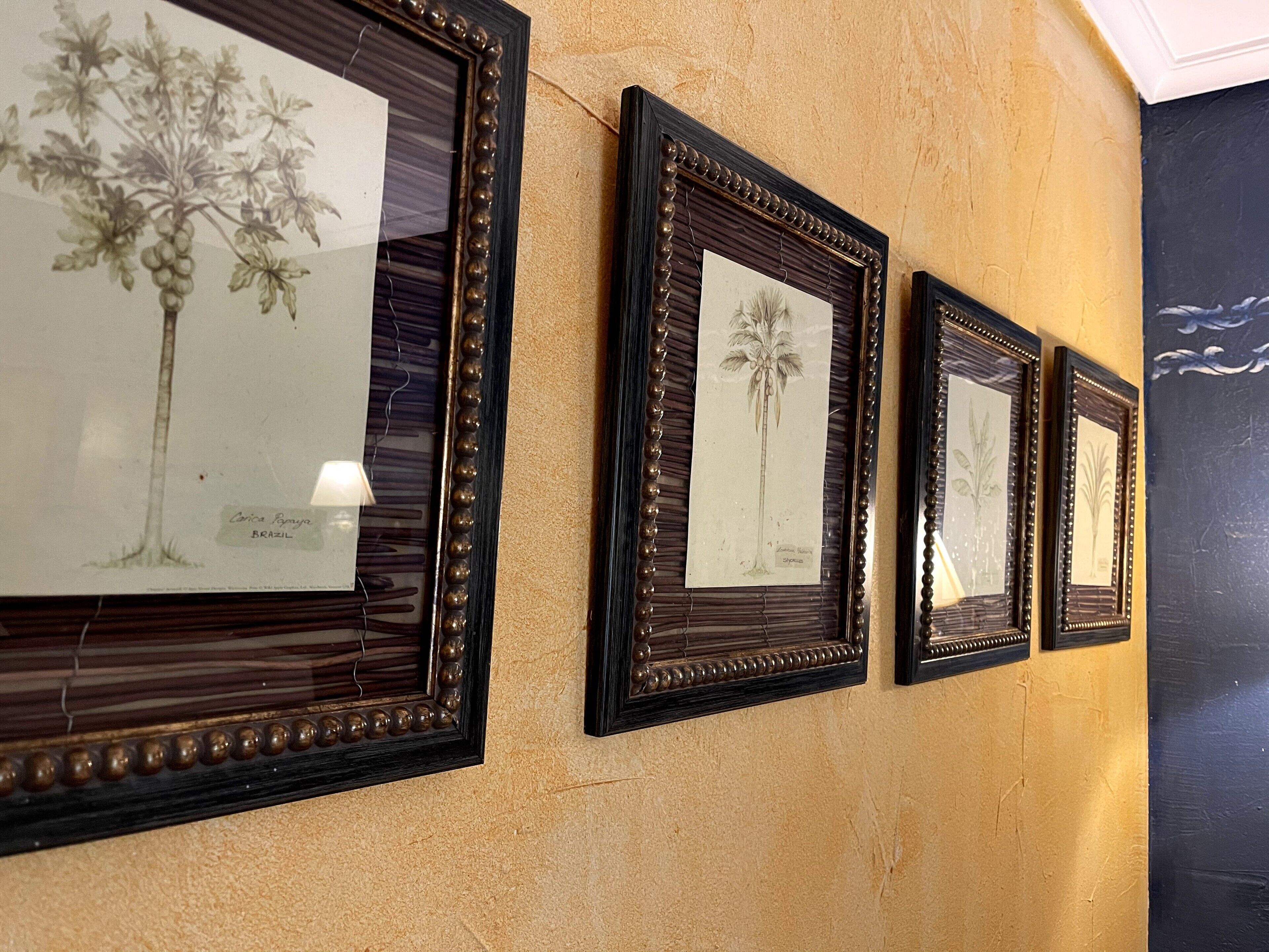 Una pared con cuatro ilustraciones botánicas enmarcadas.