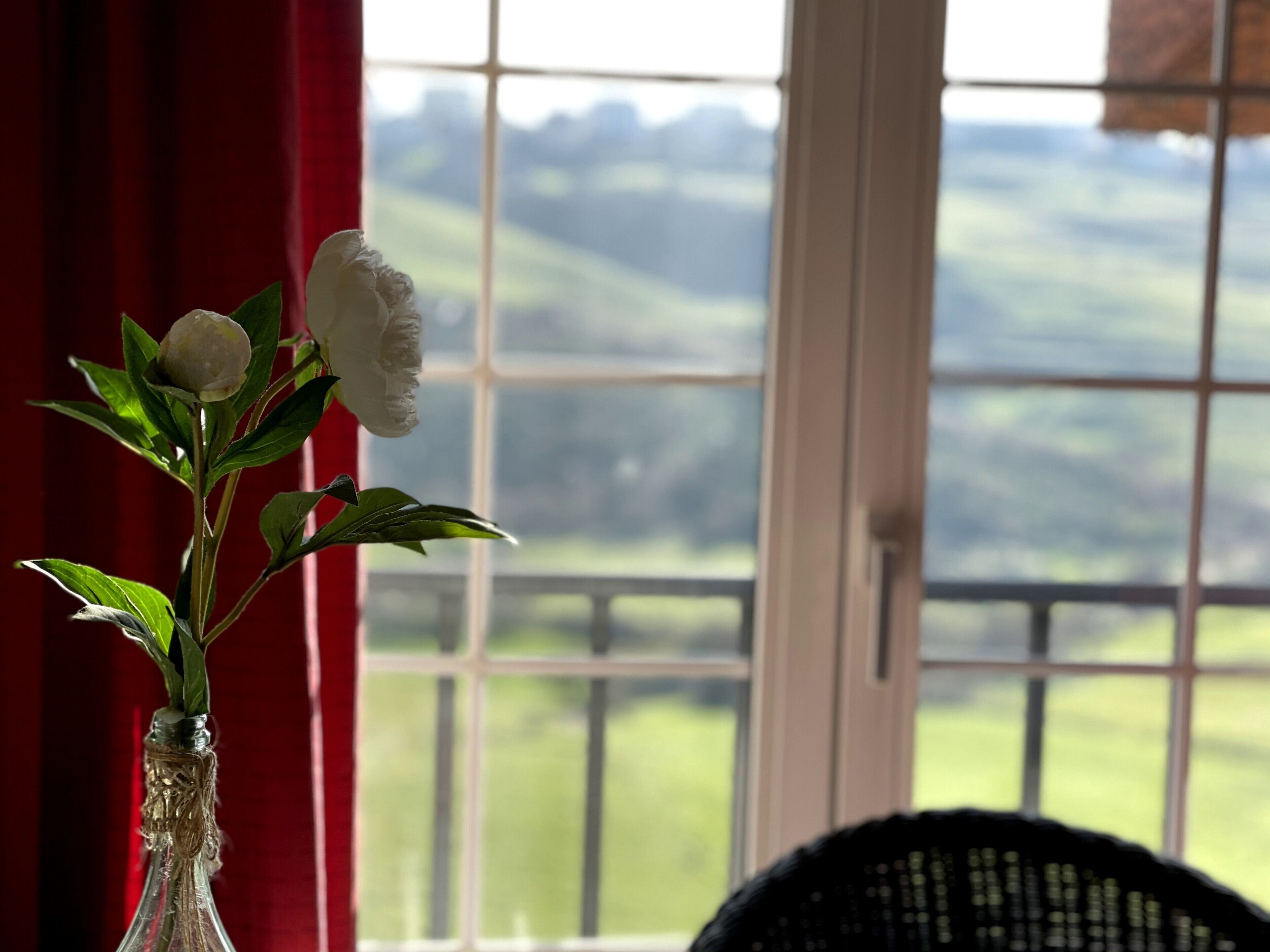 A vase with a flower on a windowsill.