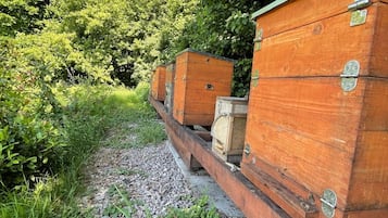 Estruturas de colmeias de madeira em um caminho de cascalho, rodeadas por vegetação.
