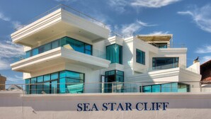 Unclassified image, 2 of 63, button - Sea Star Cliff (De Kelders)