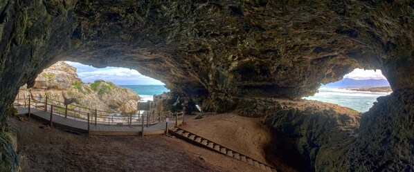 Point of interest - Sea Star Cliff (De Kelders)