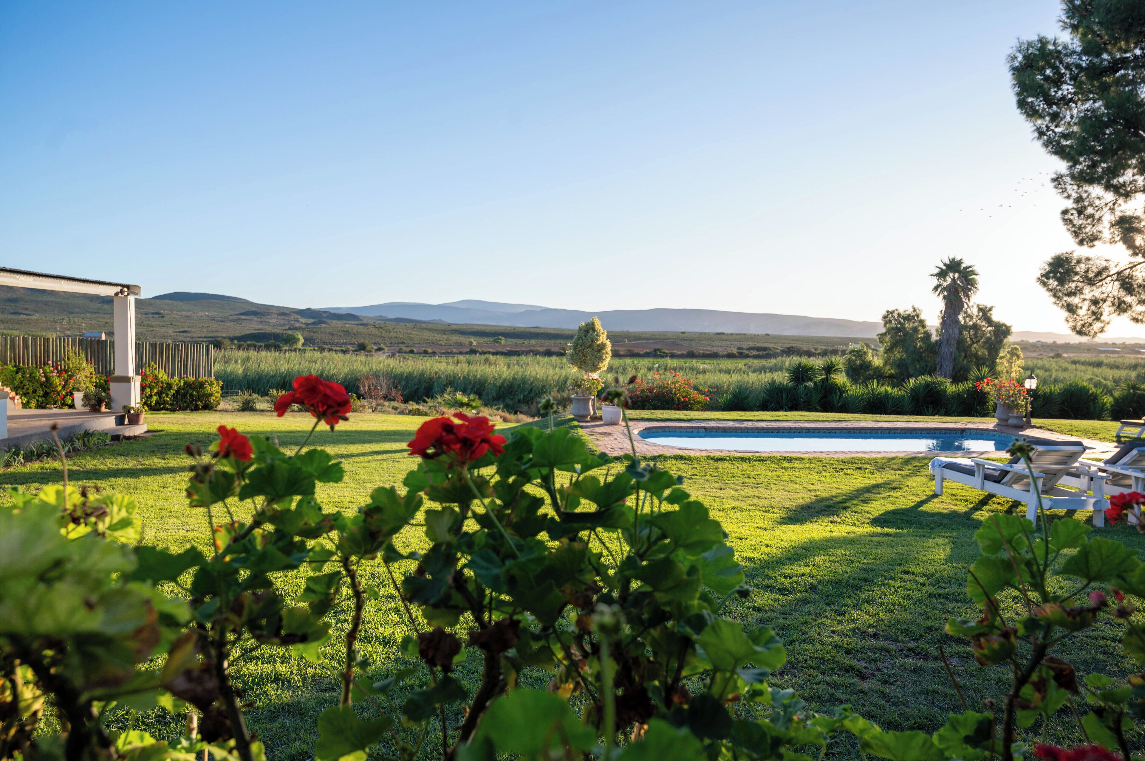 A pool area with a view of hills, surrounded by greenery and a few red flowers.