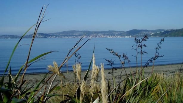 A coastal landscape with a view of the sea and distant hills. - 83 By the Sea Motor Lodge  (Lower Hutt)