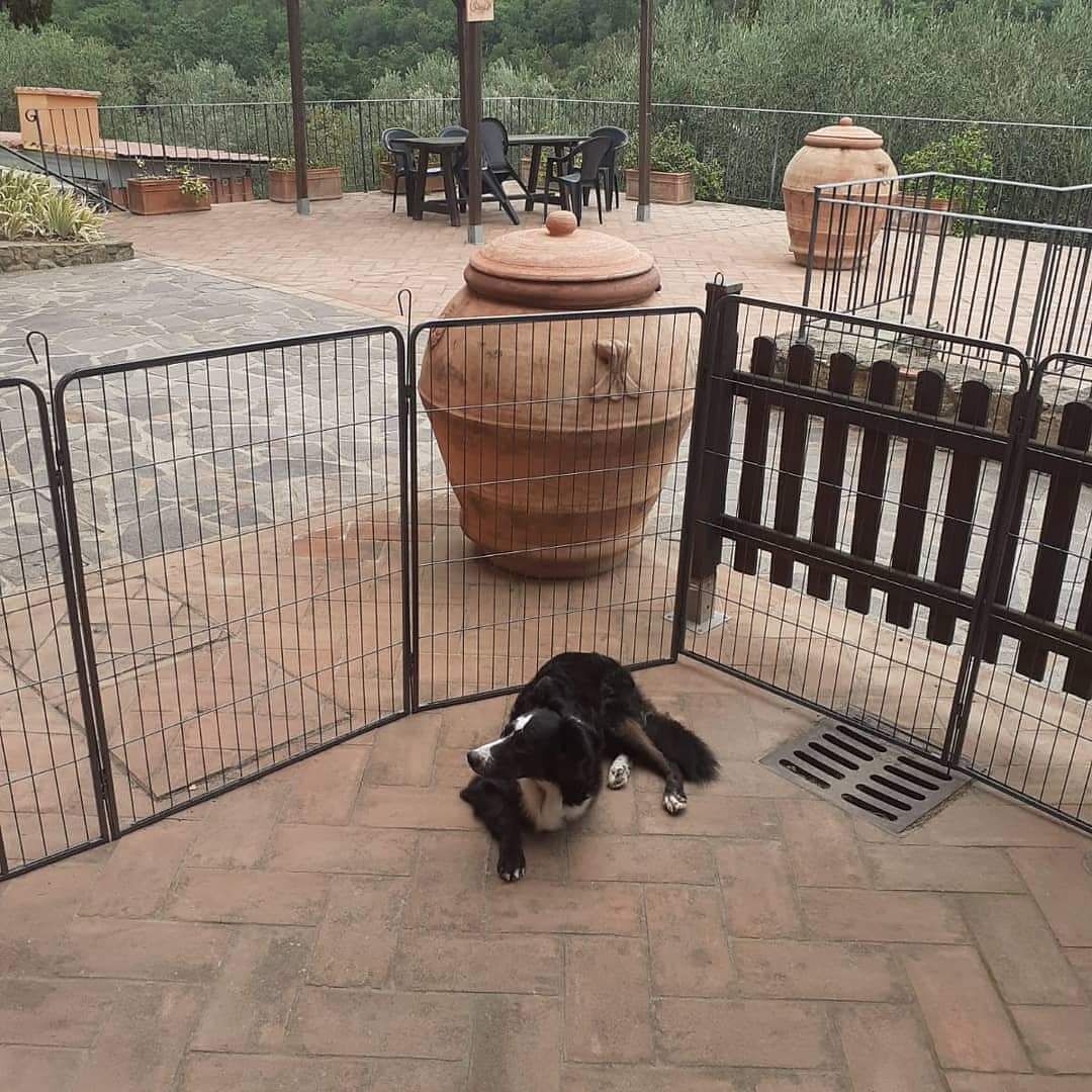 A fenced outdoor area with a large terracotta pot, stone flooring, and outdoor furniture.
