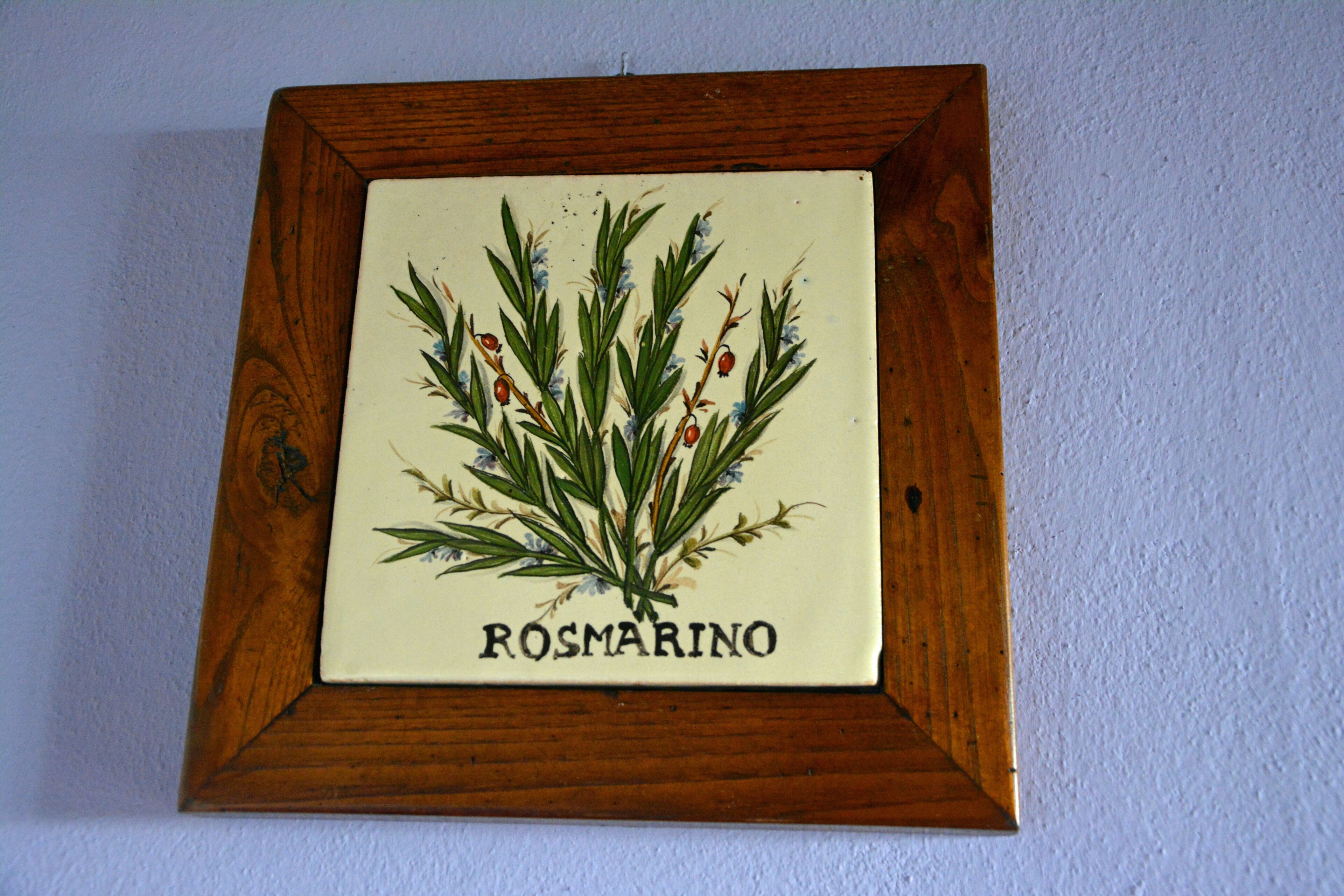 A framed botanical illustration of rosemary with the label "ROSMARINO" on a white background, surrounded by a wooden frame.
