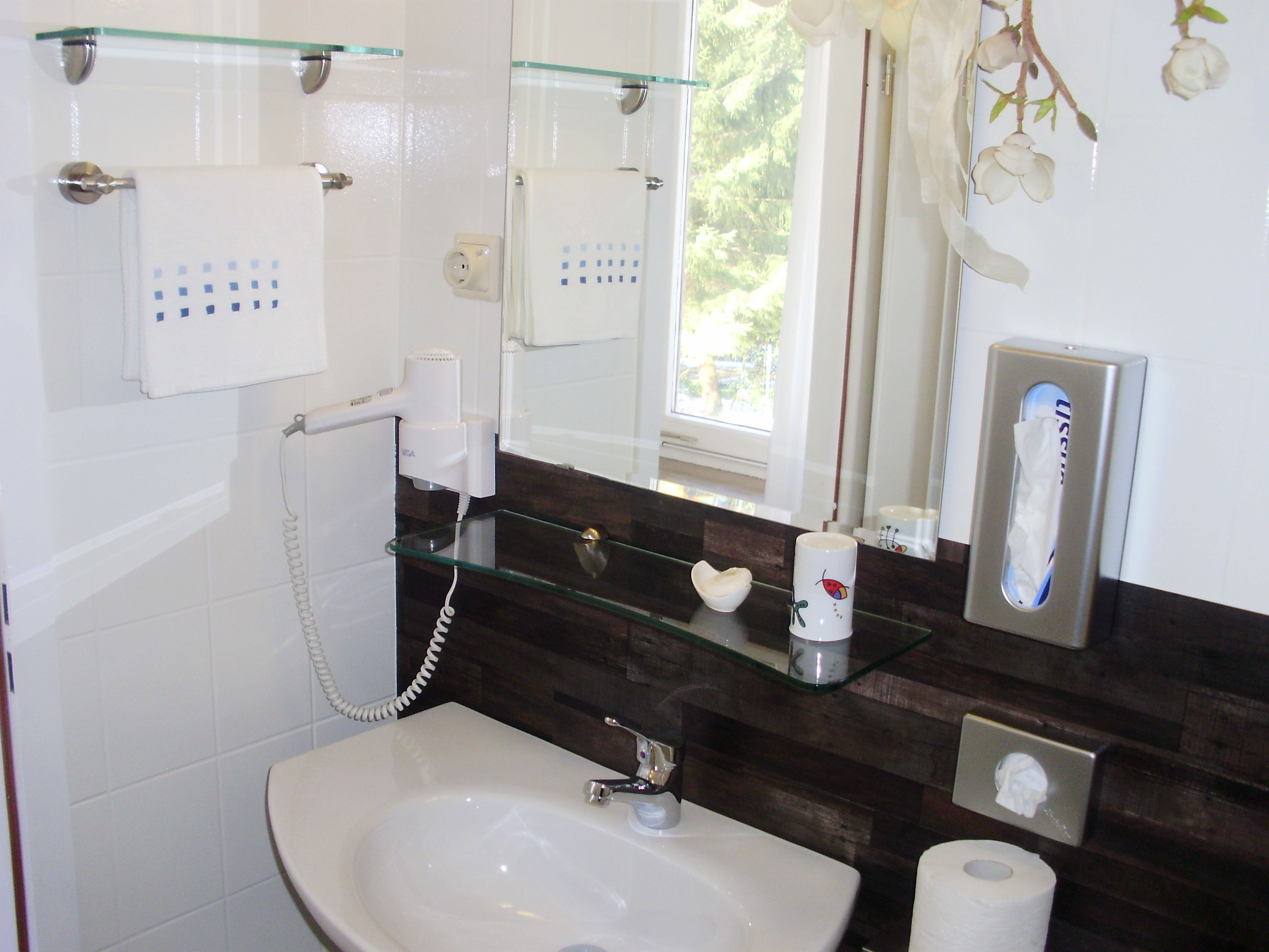 standard single room | bathroom sink