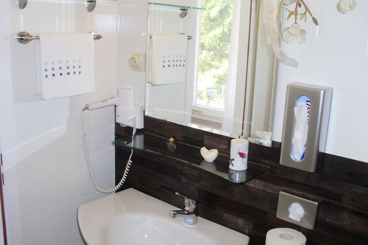 standard single room | bathroom sink
