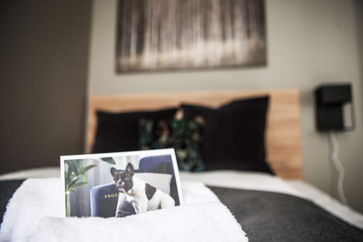 Een bed met een witte dekbedovertrek en een foto van een kat.