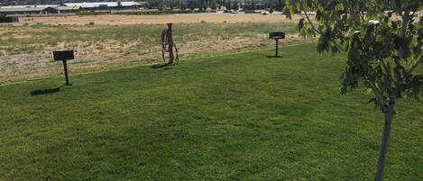 A grassy field with a few trees and a distant view of buildings and hills.