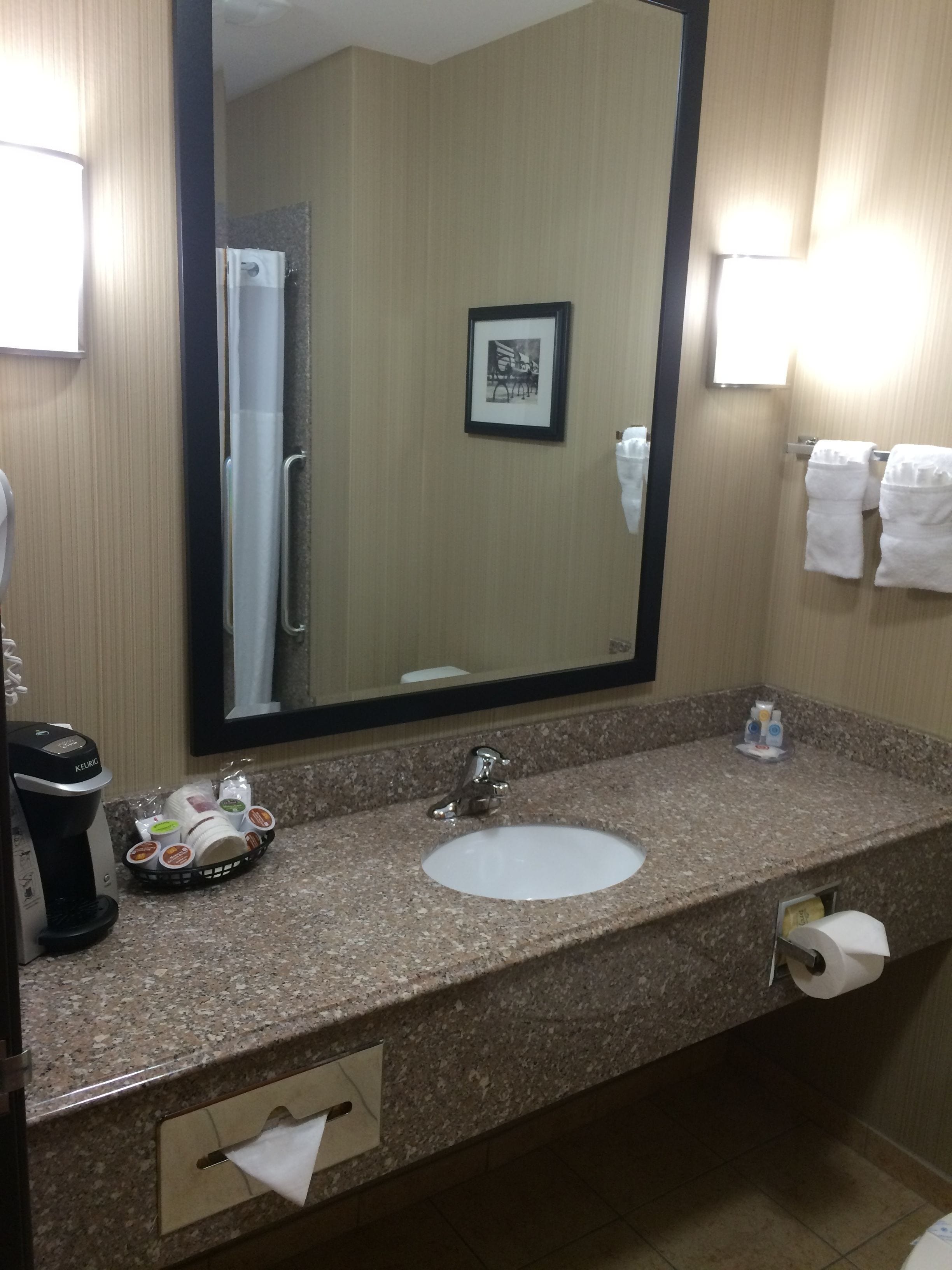 combined shower/bathtub, free toiletries, hair dryer, towels