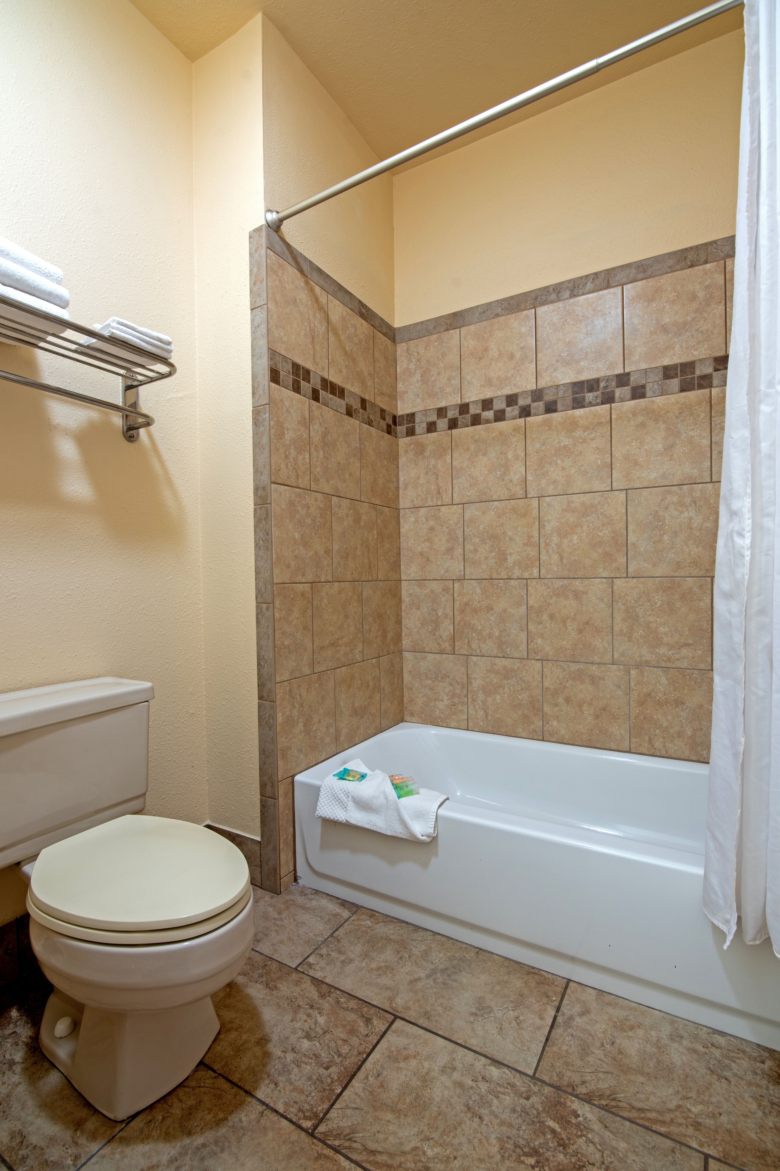 A bathroom with a toilet, a bathtub, and a shower area.