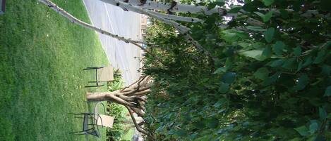 A park with a grassy area, a tree, and a white vehicle.