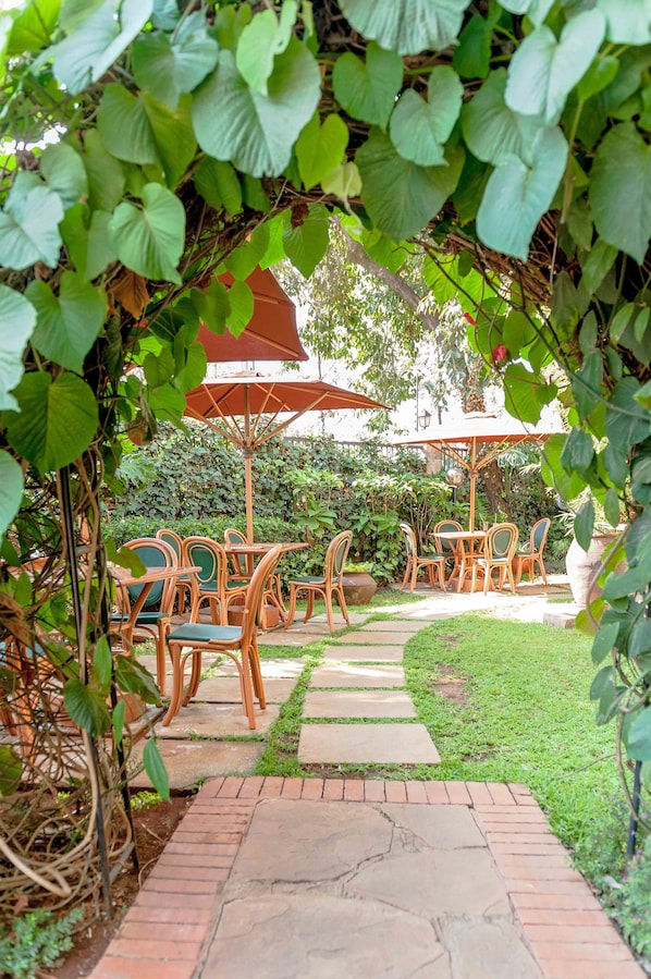 Bar (en la propiedad)