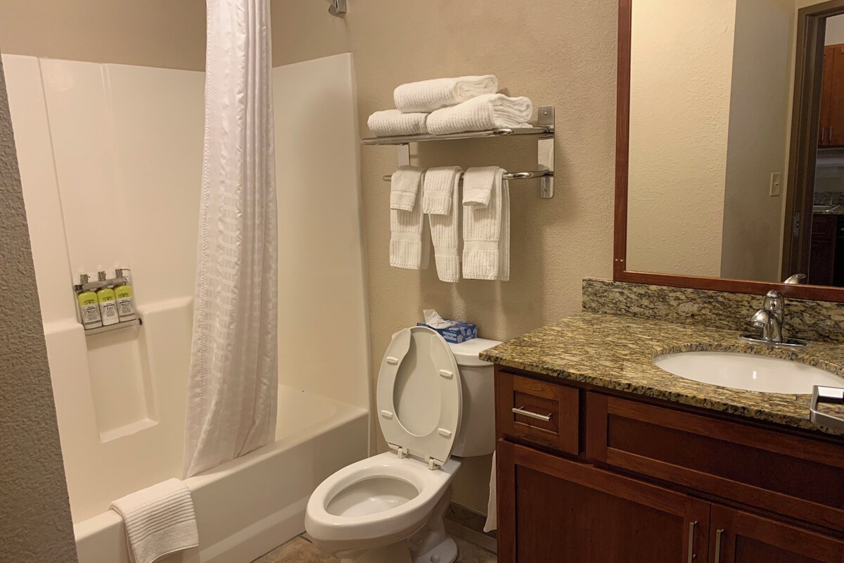 Studio Suite, 1 Queen Bed | In-room safe, desk, soundproofing, iron/ironing board