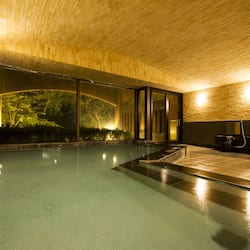 Indoor spa tub