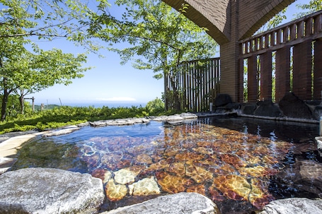 Hot springs. Hotel Villa Fontaine Village Izukogen