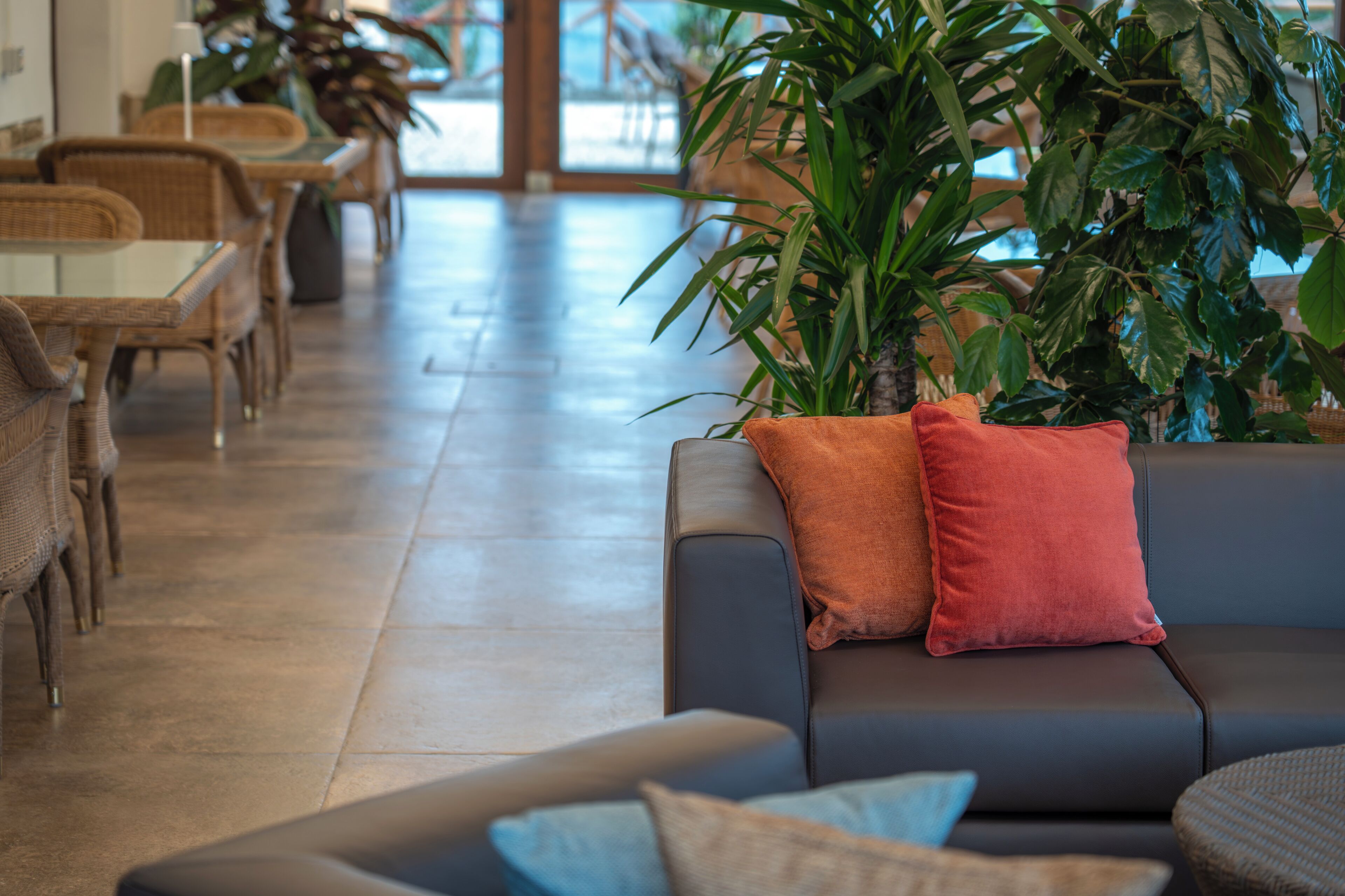 Ein modernes Interieur mit einer Couch, Sesseln und einer großen Topfpflanze.