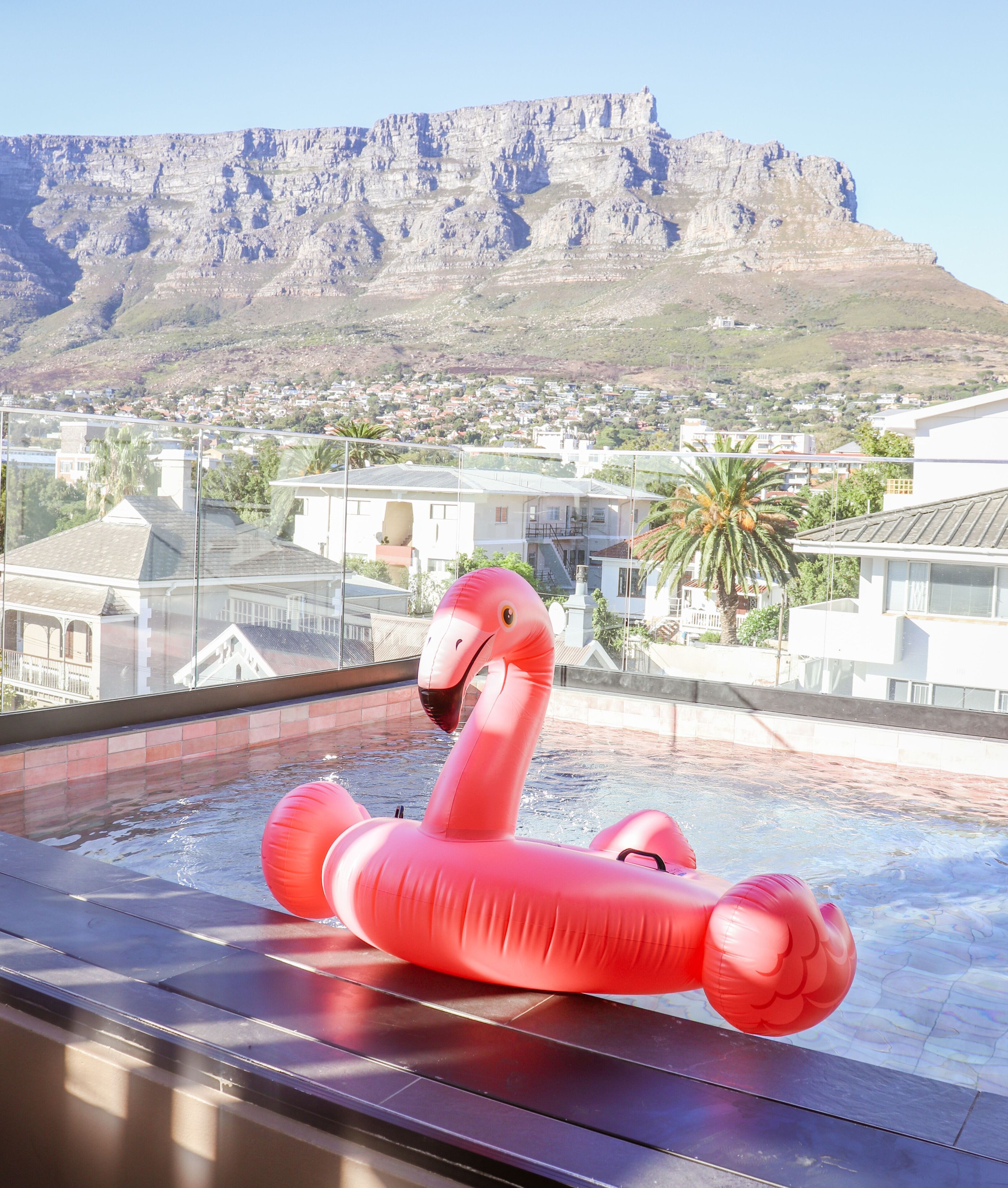 A hot tub with a pink flamingo float, overlooking a residential area with houses and a mountain in the background.
