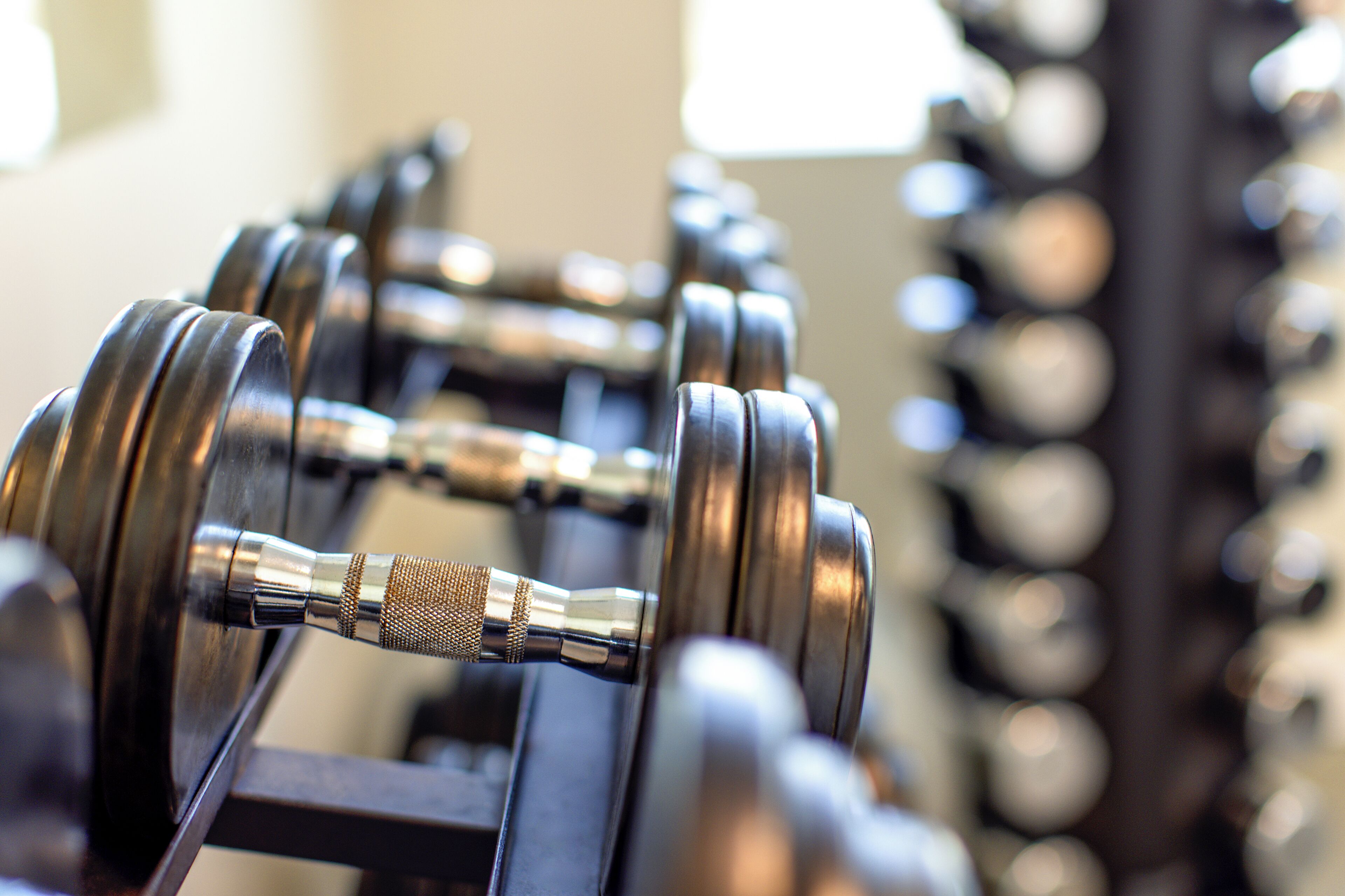 A close-up of a row of dumbbells on a rack.
