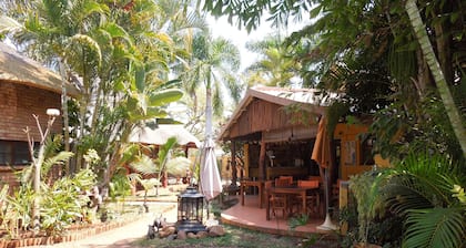 Trees Too Guest Lodge