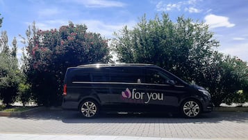 A black van parked in a paved area with trees and shrubs in the background.