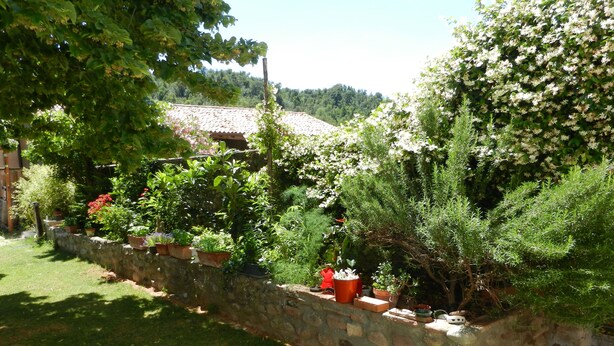 Jardín