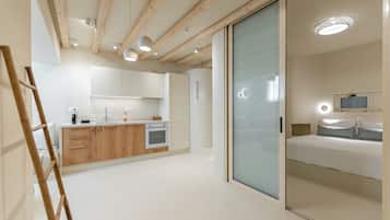 Deluxe Semi-Basement Apartment | 埃及棉床单、高档床上用品、羽绒被、加厚床垫