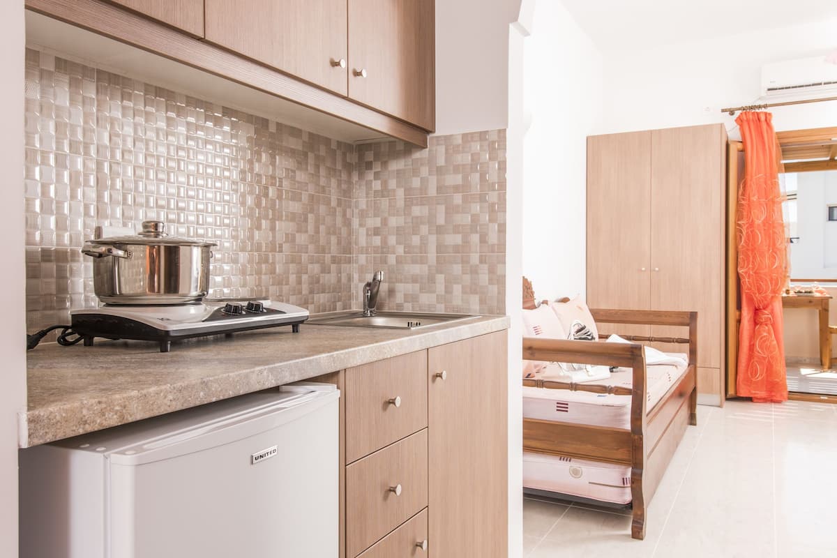 superior apartment | private kitchenette | fridge, coffee/tea maker, electric kettle
