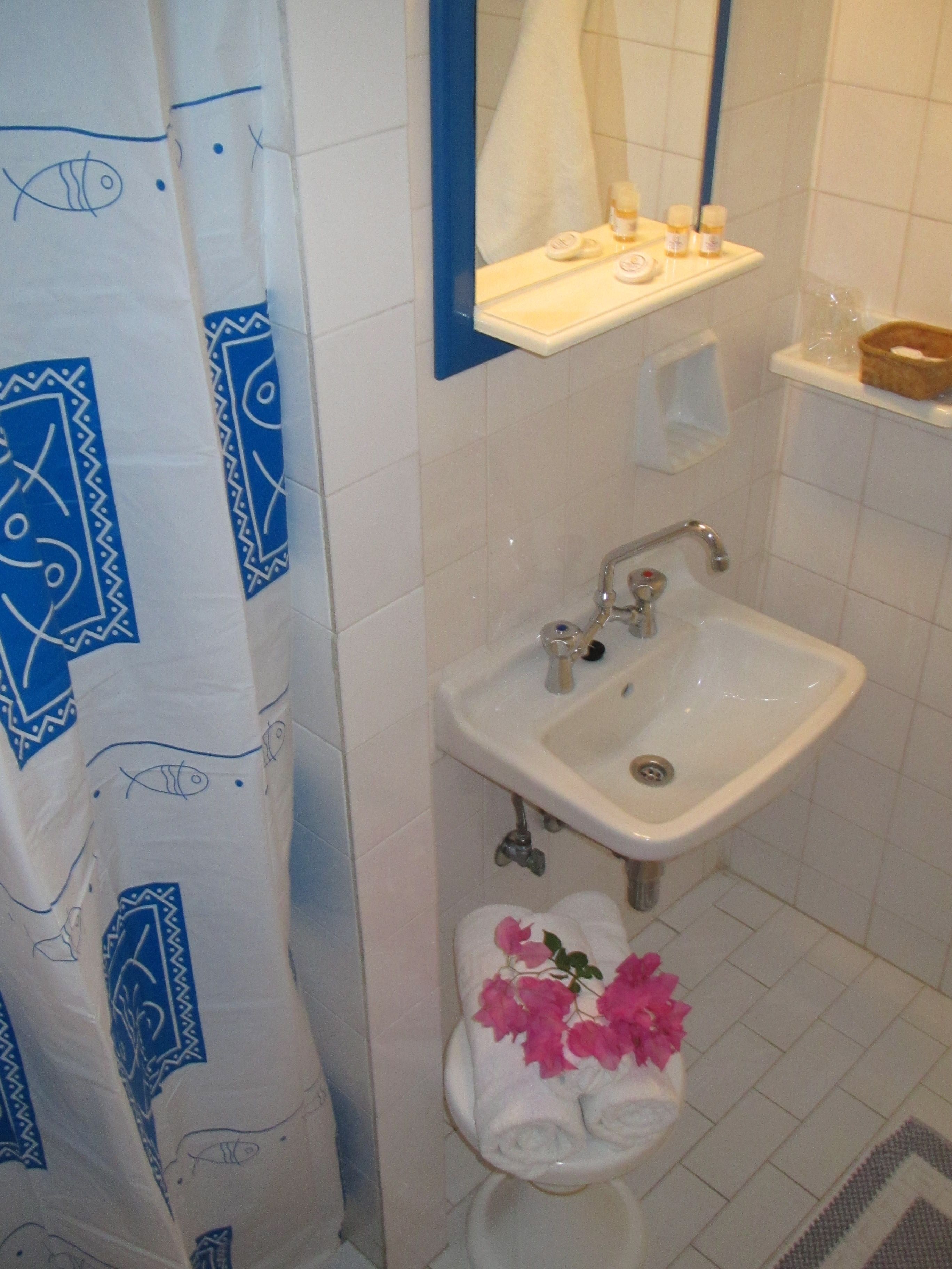 A bathroom with a white sink, a mirror above it, and a shower curtain with blue patterns.