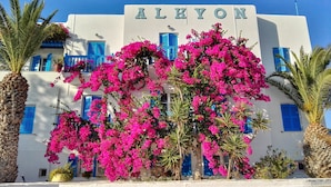 A building with the name "ALKYON" in large letters, surrounded by vibrant pink bougainvillea flowers and palm trees. - Hotel Alkyon (Syros)