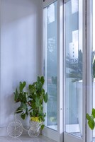 A potted plant in a white metal stand next to a glass door.