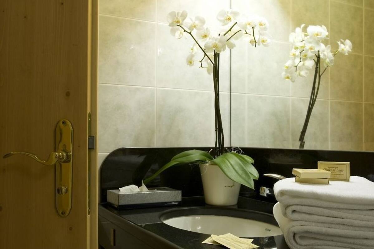 double or twin room | bathroom | shower, free toiletries, hair dryer, bidet
