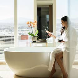 Separate tub and shower, deep soaking tub, designer toiletries