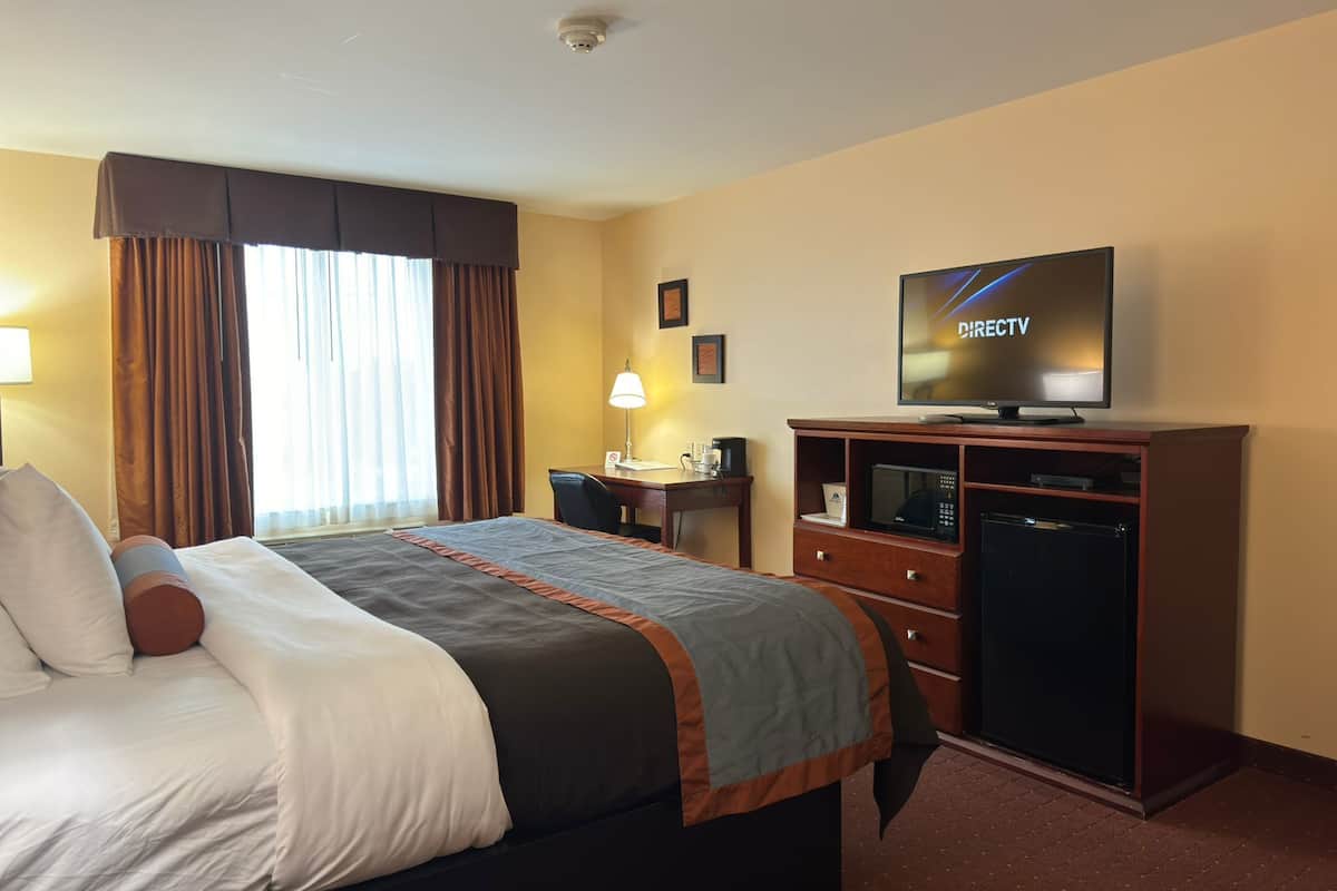 room, 1 king bed, non smoking | desk, laptop workspace, iron/ironing board, free wifi