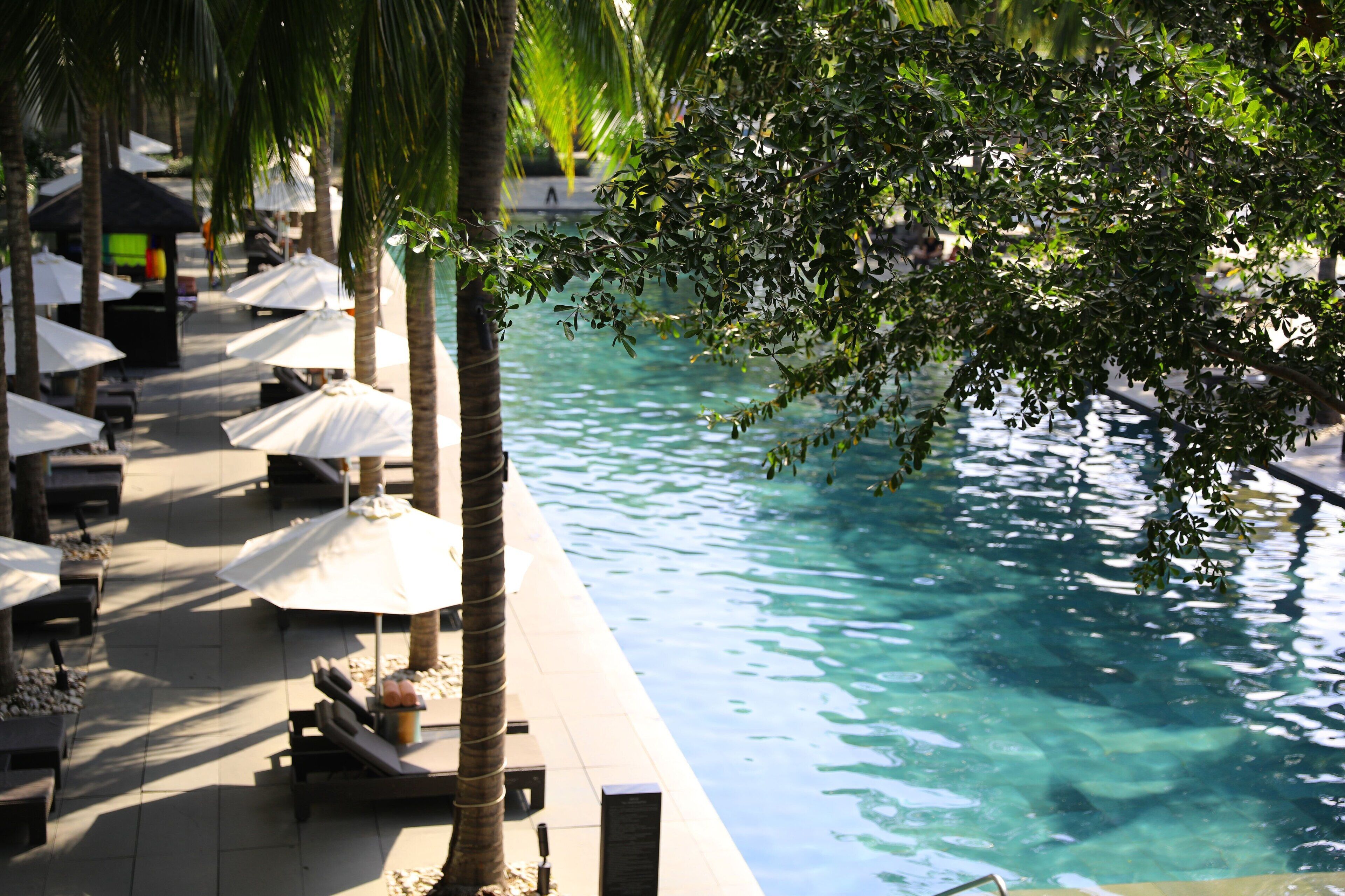 A poolside area with lounge chairs and umbrellas, surrounded by palm trees.