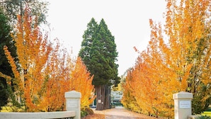 A gravel driveway leading to a building with a sign that reads 'CRAIGIEBURN.' - Peppers Craigieburn (Bowral)