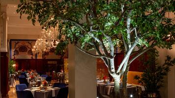 A large indoor tree in a well-lit dining area with tables set for a meal.
