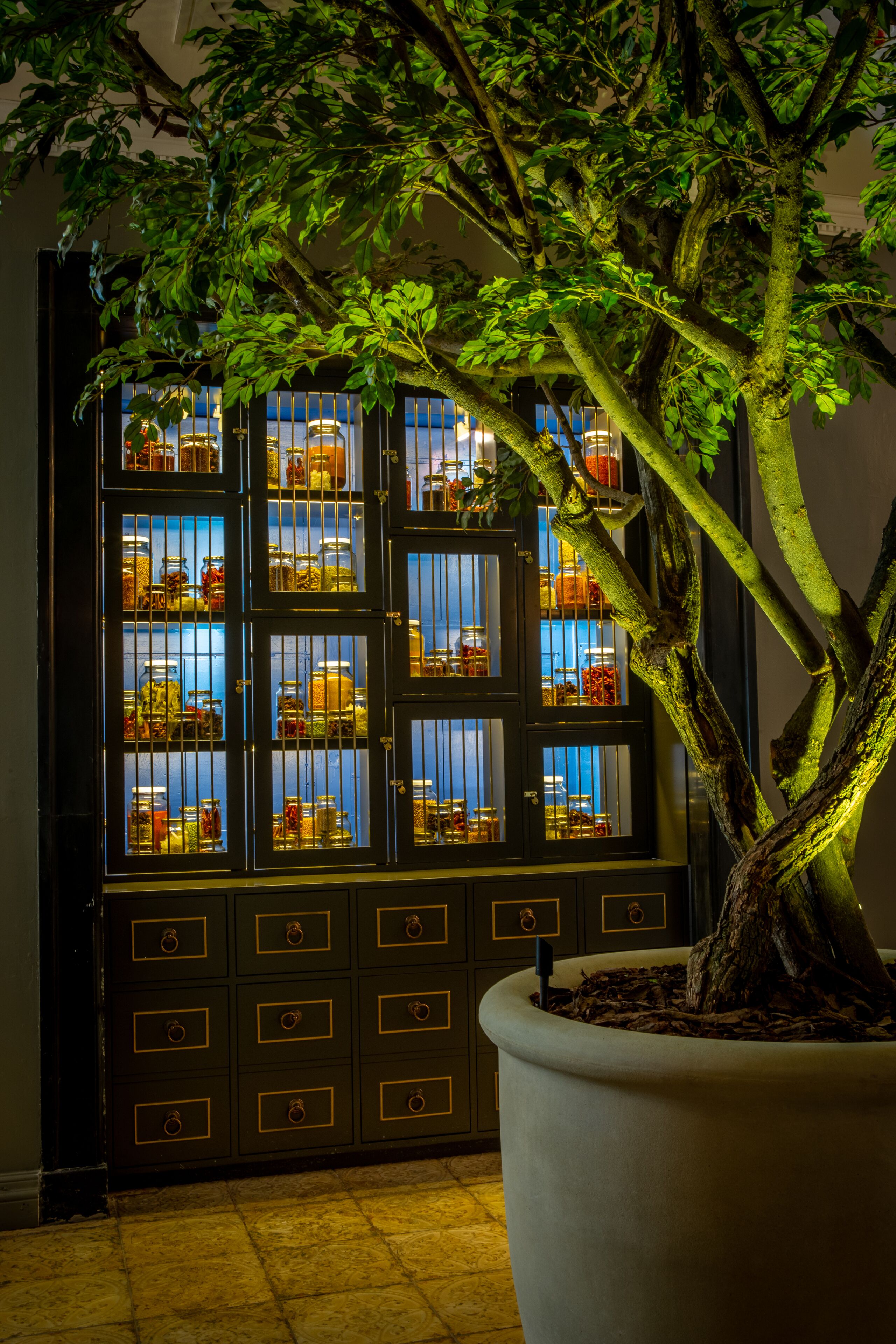 Un árbol grande en maceta frente a un expositor con varias puertas de vidrio, cada una con diversos objetos.