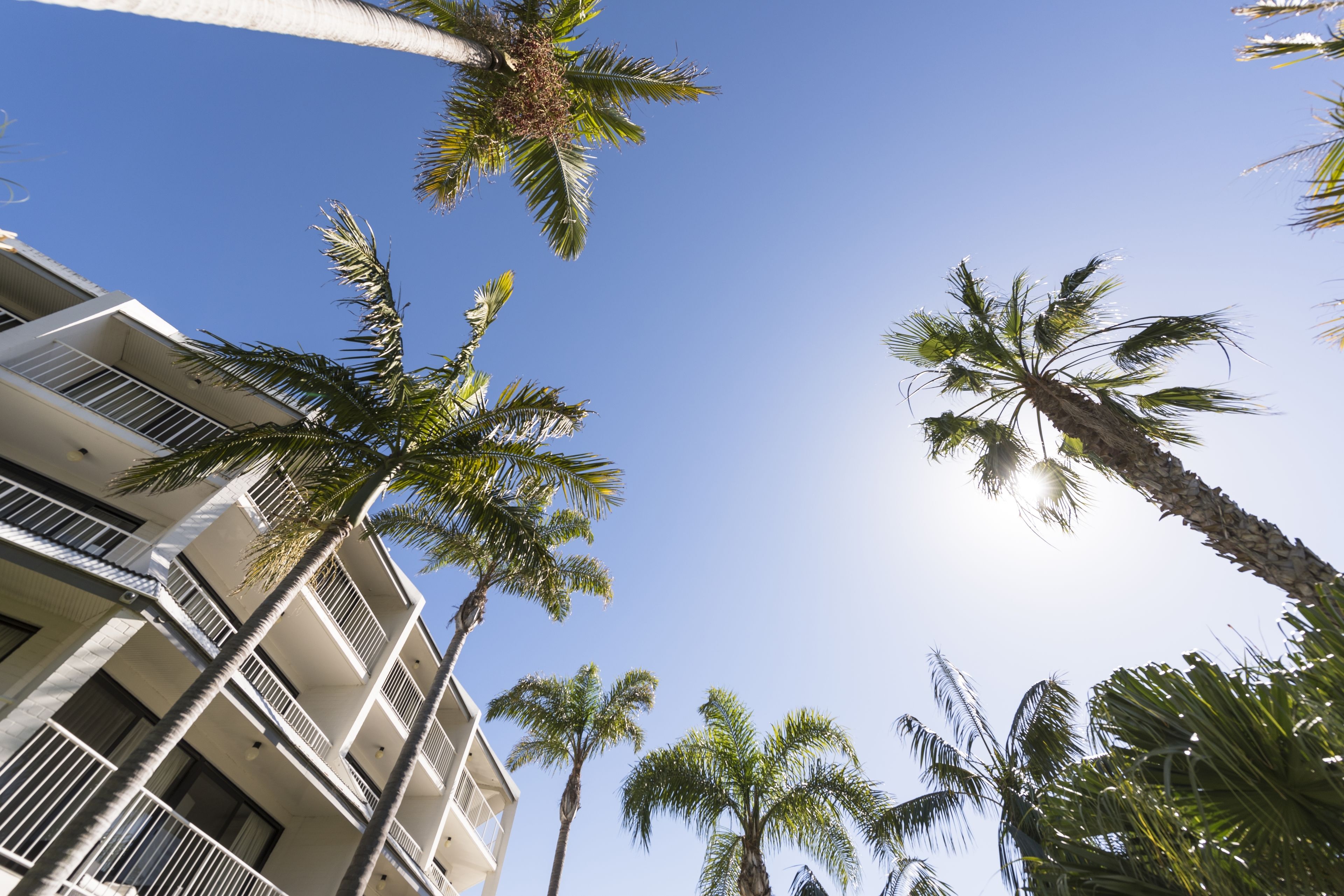 A multi-story building with balconies, surrounded by palm trees against a clear blue sky.