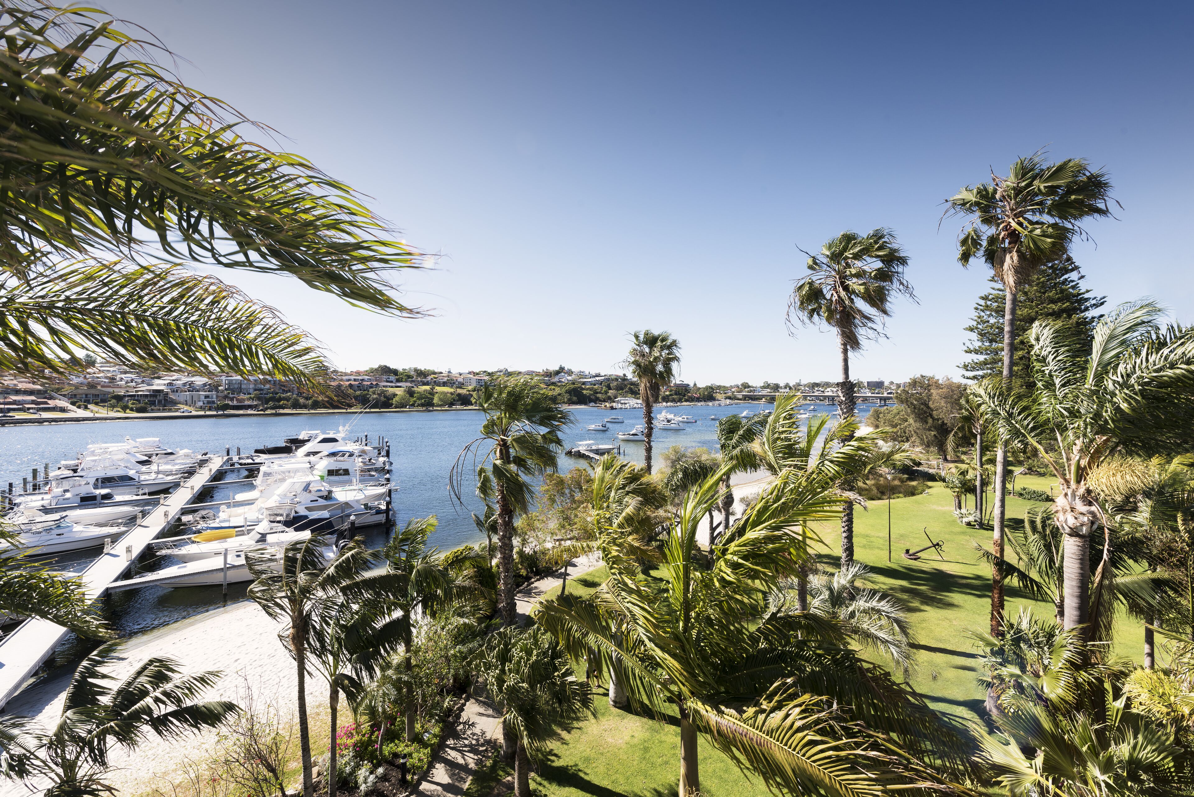 A marina with boats docked, surrounded by palm trees and a clear sky.