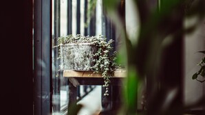 A window with a view of a balcony and a hanging plant arrangement. - Monsieur Helder (Paris)