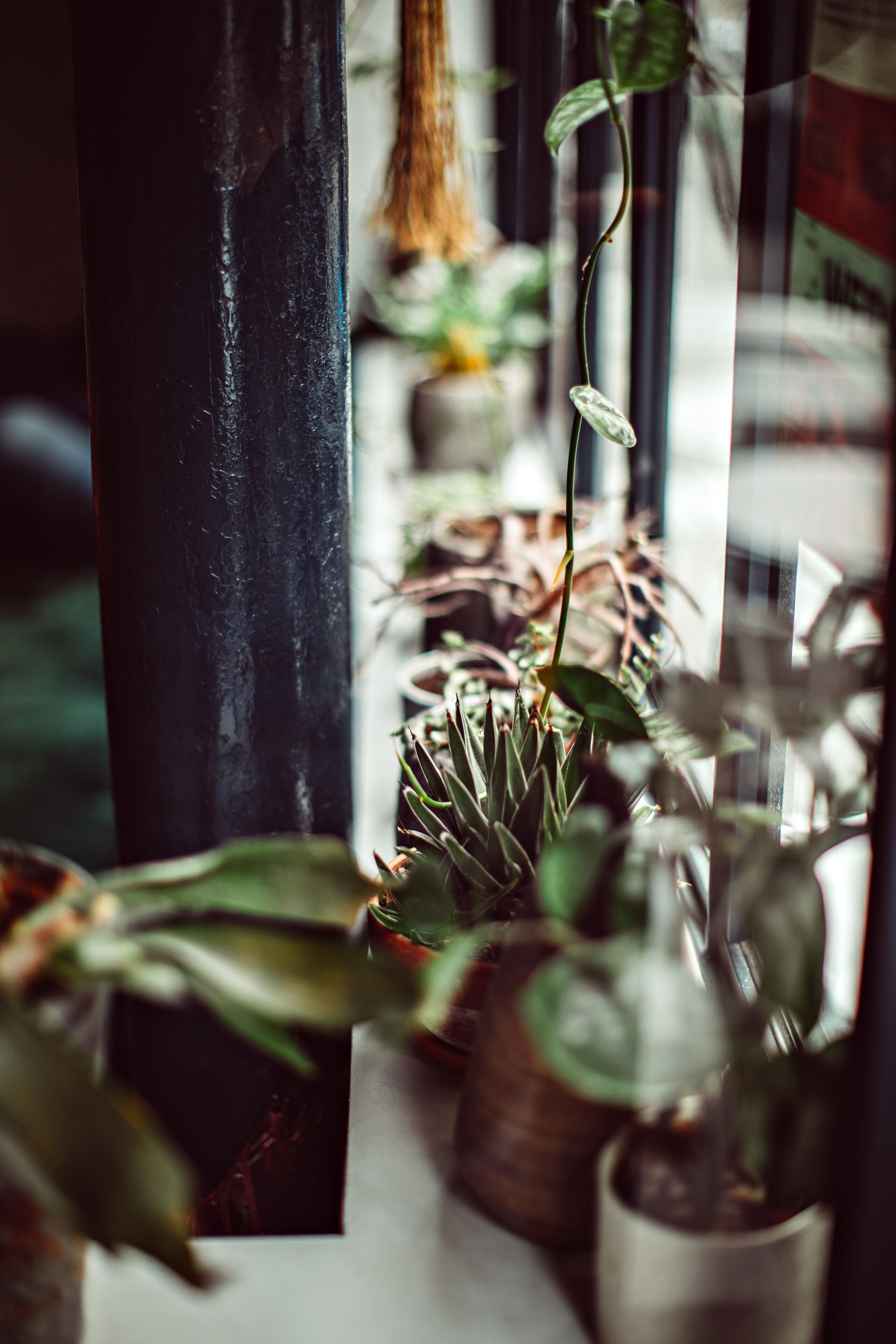 Foto - Hotel Monsieur Helder